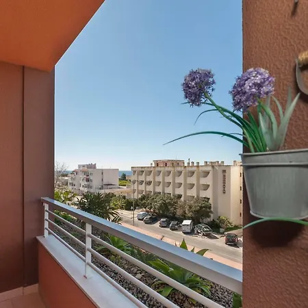 Dream's House 포티마오